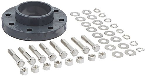 Pentair 357262 4-Zoll Flansch Montage-Set mit Dichtung und Edelstahl Hardware Ersatz Pool/Spa Pumpe