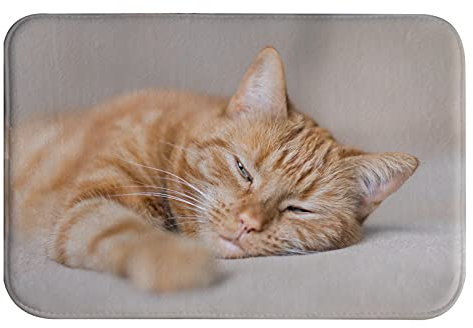 A.Monamour rutschfest Saugfähig Waschbar Badematte Süße Schlafende Katze Mit Tier Motiv Weich Flanell Badezimmerteppich Badteppich Badvorleger Badewanne Dusche Duschvorleger