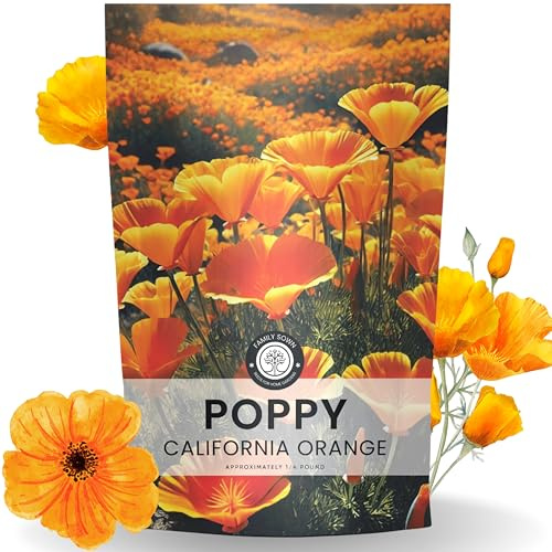 California Poppy Orange - Bulk 1/4 Pound Pouch - 80,000 Flower Seeds for Planting - Eschscholzia californica