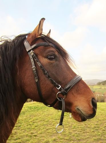 Weiche Gebisslose Zäumung - Trense anatomisch Tilia Größe Pony - Farbe Natur
