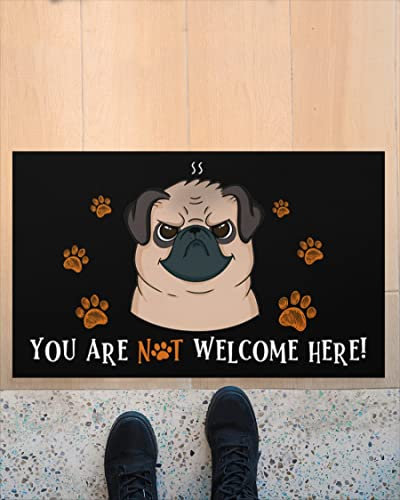 NA Fussmatte Aussen Haustür You Are Not Welcome Here Fußmatte Welcome Mat Home Decor Lustige Fußmatte Beste Geschenkidee für Hundeliebhaber Schlafzimmer deko Wohnzimmer