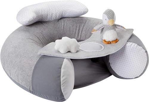 Nuby Penguin Sit-Me-Up Babyschale – aufblasbarer Sit & Play Bodensitz | Abnehmbares Tablett | maschinenwaschbar | geeignet ab 6 Monaten (Grau)