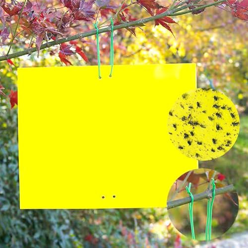 Gelbtafeln Klebrige Insektenfallen, 50Stück Premium Gelbsticker Fliegenfalle Gelbstecker Gegen Kirschfruchtfliege Gelbtafeln Trauermücken Bekämpfen 20cmX15CM Gelbfalle Fliegenfalle