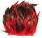 Raibertin Coque Rooster Hackle Feder Fransenbesatz für Kostüm Basteln Kleid Dekoration Schlappen Federbesatz Band DIY Umhang Schal Rock Halloween Karneval Kleidung Nähen Dekor 2 Yards (rot)