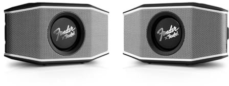 Teufel Fender x ROCKSTER GO 2 Stereo-Set Bluetooth Speaker - Tragbarer Lautsprecher mit Langer Akkulaufzeit (28 h), Wasserdicht IP67, Wireless Musikstreaming, Outdoor - Steel Black (Schwarz)