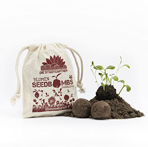 Die Stadtgärtner – Seedbombs „Bienenschmaus“ I 8 handgemachte Samenbomben mit 38 Arten von Saatgut I Enthält u.a. Färberkamille, Hornschottenklee & Thymian I 100% ökologisch & min. 2 Jahre haltbar