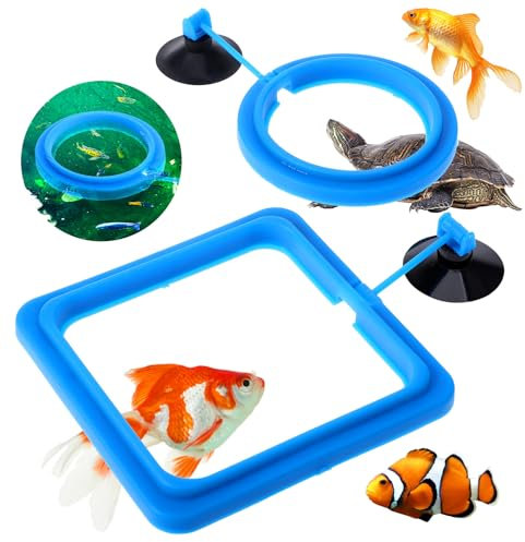 2 Pcs Fish Feeding Rings, Bule Aquarium Floating Plant Rings Fish Feeder Food Feeder Circle Round and Square Aquarium Accessories for Bettas Guppy Goldfish Floating Plants in Place