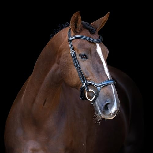 Imperial Riding Zaumzeug IRH mit ergonomischem hannoverschem Reithalfter, anatomisches Genickstück und verstellbare Verschnallung, Leder, Schwarz, Pony