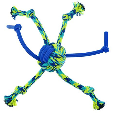 K9 Fitness by Zeus Rope and TPR Spider Ball, 12-Inch