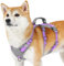 Huntboo Sicherheitsgeschirr Hund Ausbruchsicher, Panikgeschirr für Hunde, Reflektierendes Geschirr Hund mit Griff, Verstellbare Hundegeschirr für kleine, mittelgroße und große Hunde (Lavendel Lila,S)