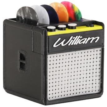 Scatola porta plettro personalizzato con stampa 3D nome personalizzato per plettri per chitarra, custodia organizer per amplificatore retrò, accessorio regalo per musicisti, chitarristi, fidanzato,