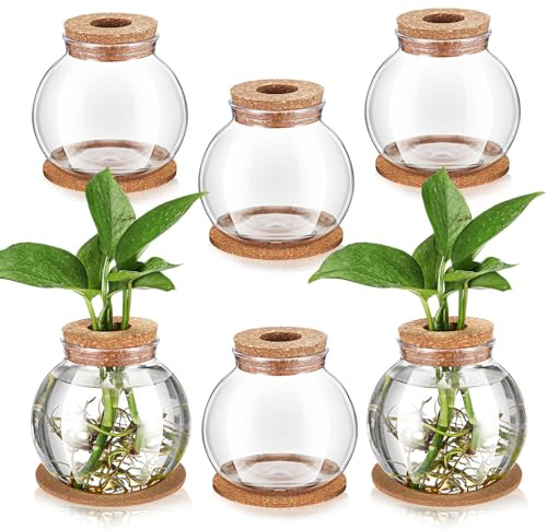 Baderke 6 Packs Propagation Vases for Plants Plastic Plant Propagation Station with Hole Lid and Cork Coasters Plant Growing in Water Hydroponic Home Office Table Decoration(Fish Bowl Style)