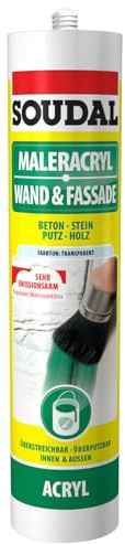 Soudal Cartouche acrylique de 280 ml pour intérieur et extérieur, peinture acrylique pour mur et vasade Blanc