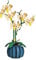 Darryy Bloques de construcción Orquídea, Juego de Bloques de Construcción de Flores, Bloque de Construcción de Ramo con Exquisitas Cajas de Embalaje, Buen Regalo, Flores Preservadas (B)