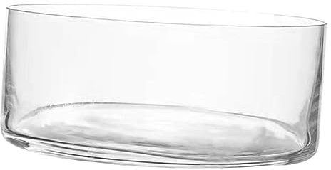 iplusmile Per Piante in Vetro Trasparente Per Contenitore Per Piante Da Decorazione e Ufficio