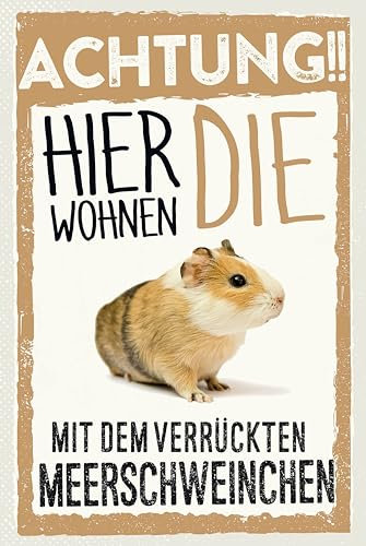 AGDeko® Schild aus Holz 12x18 cm Tiere Achtung hier Meerschweinchen zum Aufhängen oder Stellen Raum Dekoration