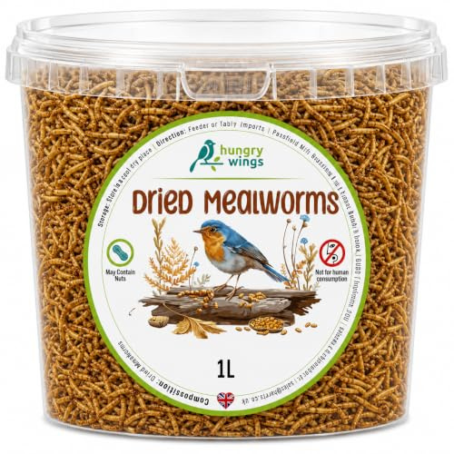 Premium Wild Bird Food 1L Tub (1L Tub, Dried Mealworms)