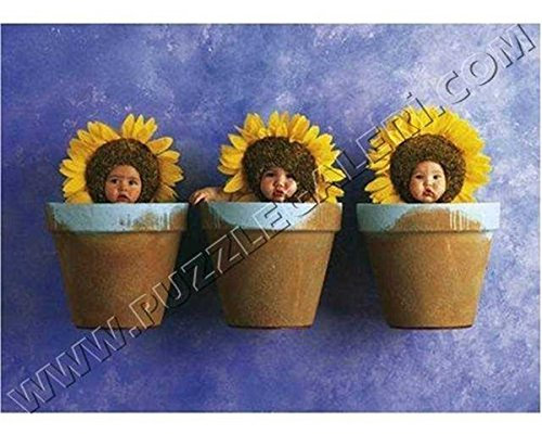 Schmidt Spiele 57948 - Anne Geddes, Sonnenblumen-Trio, 1000 Teile Puzzle