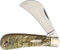 Marbles Hawkbill Rams Horn