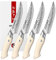 HEZHEN Steakmesser Set 4PCS, 67 Lagen Damast Küchenmesser Gehämmert Küchenmesser, Tafelmesser Elfenbeinweißer G10 Griff