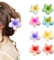 Aucuu Blumen-Haarklammern 8 Stück, Flower Hair Clips, Mehrfarbige Acryl Haarspange, Rutschfeste Haarklammern, Starker Halt, Hawaii Haarspangen, Blume Haarspangen Damen für Dickes Dünnes Haar