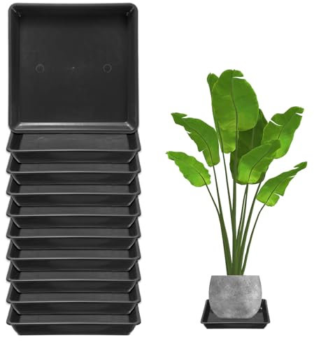 M METERXITY Paquete de 10 Platillos para Macetas, Bandeja de Goteo Cuadrada de Plástico de 7 Pulgadas para Flores, Platillo sin Agujeros Duradero para Macetas En Interiores/Exteriores [Negro]