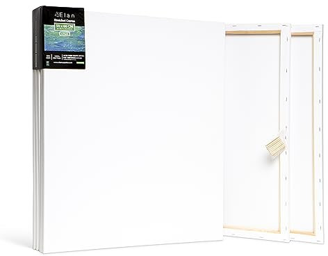 Elan Toile à Peindre 50x60, 100% Coton 6-Pack de Toiles Pré étirées, Toile Peinture, Toile Vierge, Canvas Toile Peinture, Toiles Peinture, Toiles à Peindre, Chassis Entoilé, Toile a Peindre
