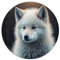 1000 Puzzles for Adults Baby Wolf Round Jigsaw Puzzle Gift Cardboard Puzzles 26.5x26.5inch
