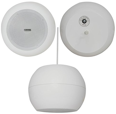 6.5 30w White Hanging/Suspended Pendant Ceiling Speaker *100v & 8ohm* Background - Loops
