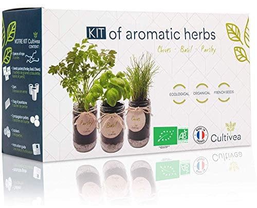 CULTIVEA® Set completo - Fai crescere le tue di erbe aromatiche - 100% semi ecologici e biologici - Semi con 3 vasetti di vetro – DIY - (erba cipollina, cipollina, basilico)