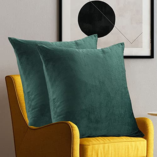 Soifox 2er Set Kissenbezug 60x60 Grün Dunkelgrün Samt Zierkissenbezüge Weich Flauschig Kuschelig Kissenbezüge Dekorative Deko Kissen Sofakissen Lendenkissen Wurfkissenbezug Schlafzimmer Kissenhülle
