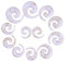 Longbeauty 6 Paare Acryl Tapers Dehnspirale Dehnschnecke Dehnstab Piercing Ohr Expander Kit 10MM-20MM, Weiß, Stil B