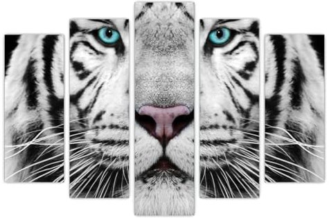 AREDE 5er Set Wandkunst Gemälde Bild Poster Sibirischer Tiger | 120 x 80 cm | Wandbilder Wanddekoration Home Office Wohnzimmer Schlafzimmer Dekoration | Fertig zum Aufhängen