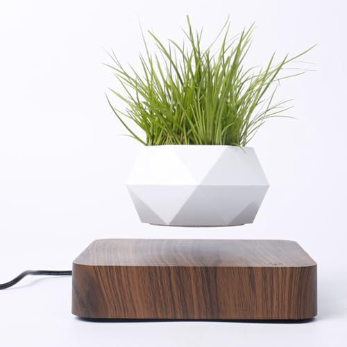 Schwebender, schwimmender Bonsai-Topf, magnetisch aufgehängt, um 360° frei drehbar, schwimmender Pflanzer, geeignet für kleine Pflanzen, Mikro-Landschaftsgartenarbeit, für Sukkulenten Dark Wood Grain