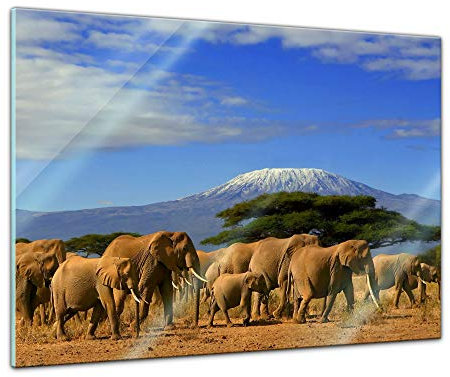 Bilderdepot24 Glasbild - Elefanten am Kilimandscharo - 60 x 40 cm - Deko Glas - Wandbild aus Glas - Bild auf Glas - moderne Glasbilder - Glasfoto - Echtglas - kein Acryl - Handmade