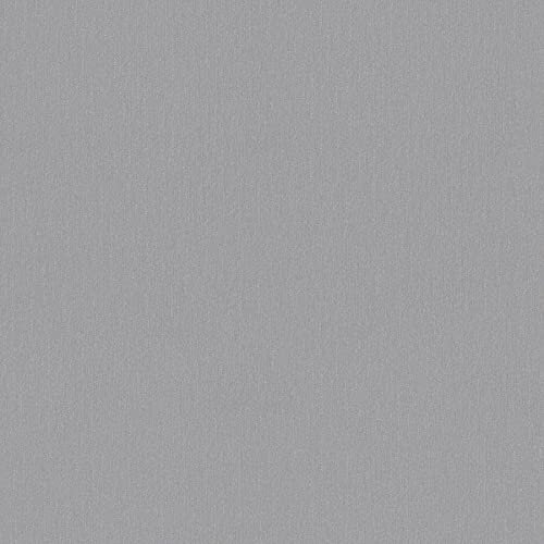 BRICOFLOR Vliestapete | Tapete uni Tapeten einfarbig - Tapeten für Wohnzimmer - Grau | 10,05 x 0,70 m = Rolle 7.04 m²