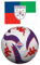 VANNISPORT Pallone da Calcio Fiorentina Cucito Size Misura 5 per Kappa Stagione 2024/2025 + Bandiera 4 QUARTIERI Fiorentina