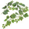 artplants.de Guirlande de Feuilles de Vigne Artificielle ATHINA, 62 Feuilles, Vert, 180cm - Feuillage Artificiel - Guirlande Verte Artificielle