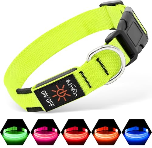Illumifun Light Up Dog Collar, Rechargeable LED Dog Collar Glow in Dark, Pet Collar Safety Lights for Night Walking Camping (Green, Large)