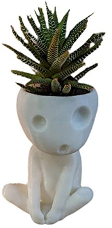 Tianbi Fioriera a forma di testa, vaso luminoso per cactus, grazioso vaso in resina per piante grasse per la decorazione di casa e ufficio