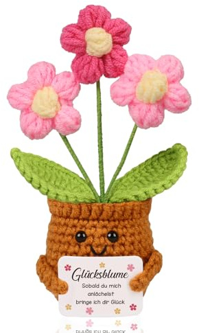 WenmthG Positive Geschenke Glücksbringer Gehäkelte Rosa Blumen für Frauen Männer Freunde Kollegen und Famili, Motivation Anti Stress Geschenke Pocket Hug Positive Kartoffel Deutsch Ersatz - 1 St