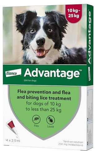 Advantage Spot On Flea Treatment For Large Dogs 10 - 25kg (4 pipettes, 250mg), Kills Fleas Within 24 Hours, Prevents Further Infestation For Up To Four Weeks
