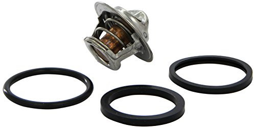 Triscan 8620 3988 Termostato, refrigerante