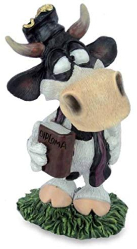 Funny Stier Berni - Professor mit Hut und Buch