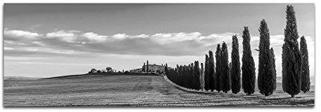 Leinwandfoto als Panorama SCHWARZ/WEISS 150x50cm Italien Toskana Landschaft Zypressen Wiesen