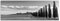 Leinwandfoto als Panorama SCHWARZ/WEISS 150x50cm Italien Toskana Landschaft Zypressen Wiesen