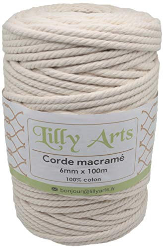 Lilly Arts Cordon pour macramé en Coton - 6mm x 100m - Ficelle pour décorations murales, suspensions Plantes, d’emballages, Bricolage - Corde Macrame, Fil Macrame (Natural 6mmx100m)