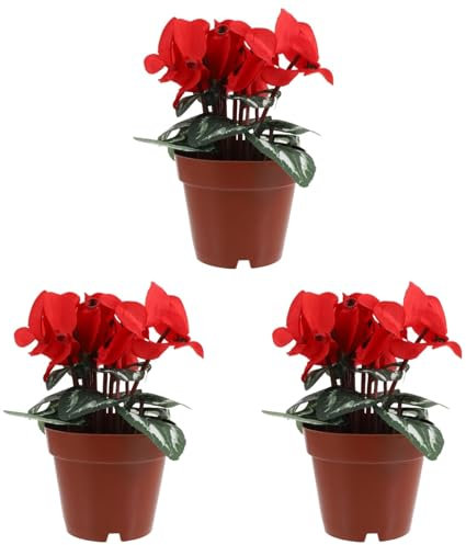 Abaodam 3 piante in vaso, decorazione verde, decorazione da tavolo, decorazione per la casa, imitazione, finto ciclamino, bonsai floreale, in tessuto di seta