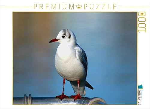 CALVENDO Puzzle Möwen Pick | 1000 Teile Lege-Größe 64 x 48 cm Foto-Puzzle für glückliche Stunden