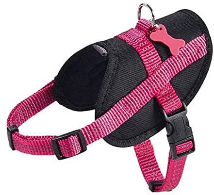 Bobby Easy Safe - Pettorina per cani con medaglietta, Taglia XS, in Nylon Riflettente con Copri Manto, Chiusura a Fibbia regolabile, Fucsia, Misura Giropetto 31-43 cm